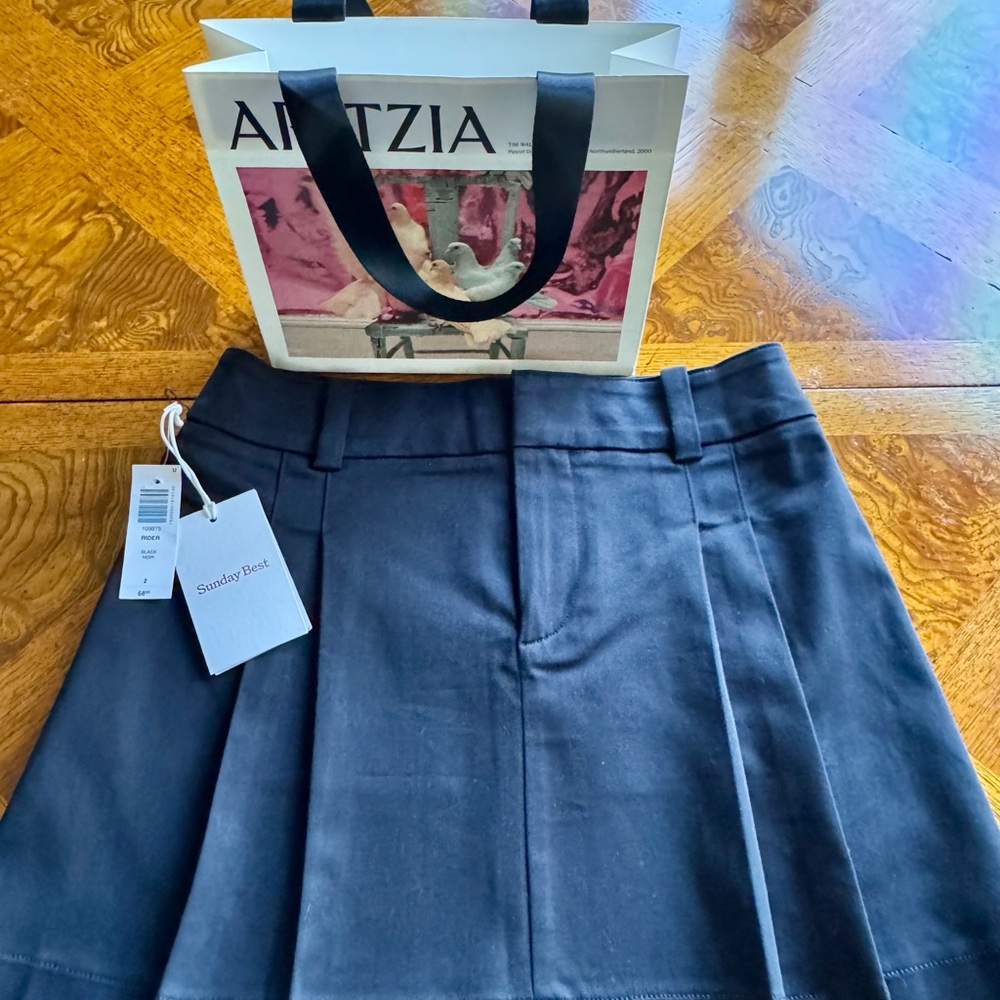 Aritzia Sunday Best Rider Mini Skirt